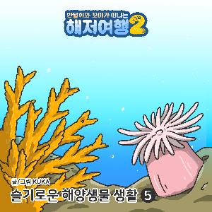 슬기로운 해양생물 생활 5